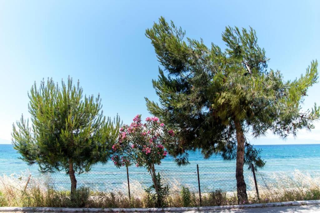 Seafront 2 Bedrooms Apartment Néa Iráklia Kültér fotó