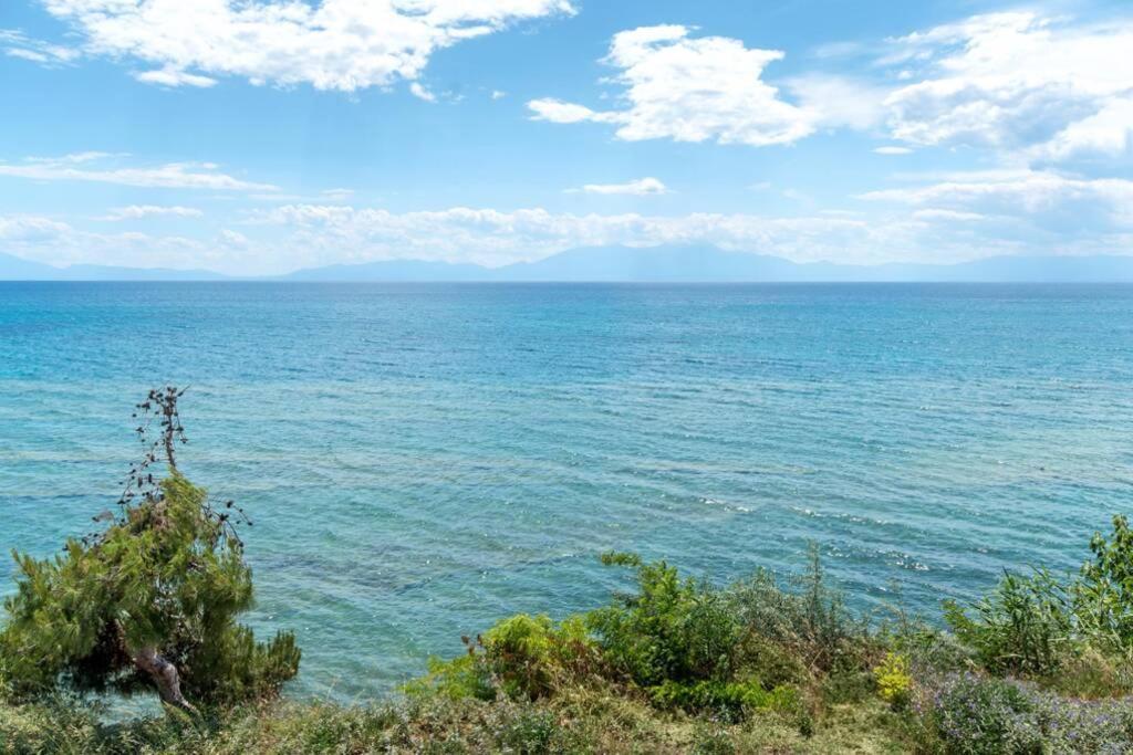Seafront 2 Bedrooms Apartment Néa Iráklia Kültér fotó