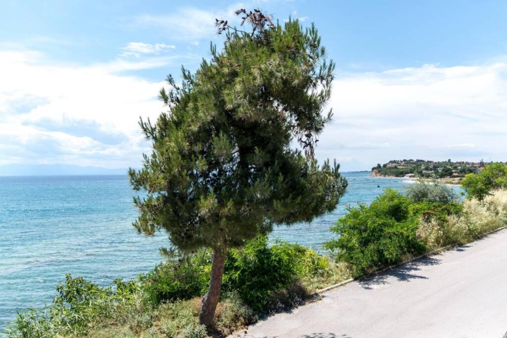 Seafront 2 Bedrooms Apartment Néa Iráklia Kültér fotó